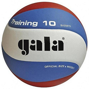 Мяч вол. GALA Training 10