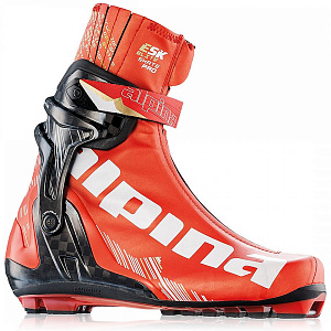 Ботинки лыжные Alpina ESK PRO