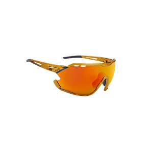 Очки Northug GOLD POLARIZED GOLD Narrow