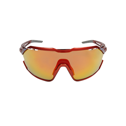 Очки Northug GOLD NEO RED Standard